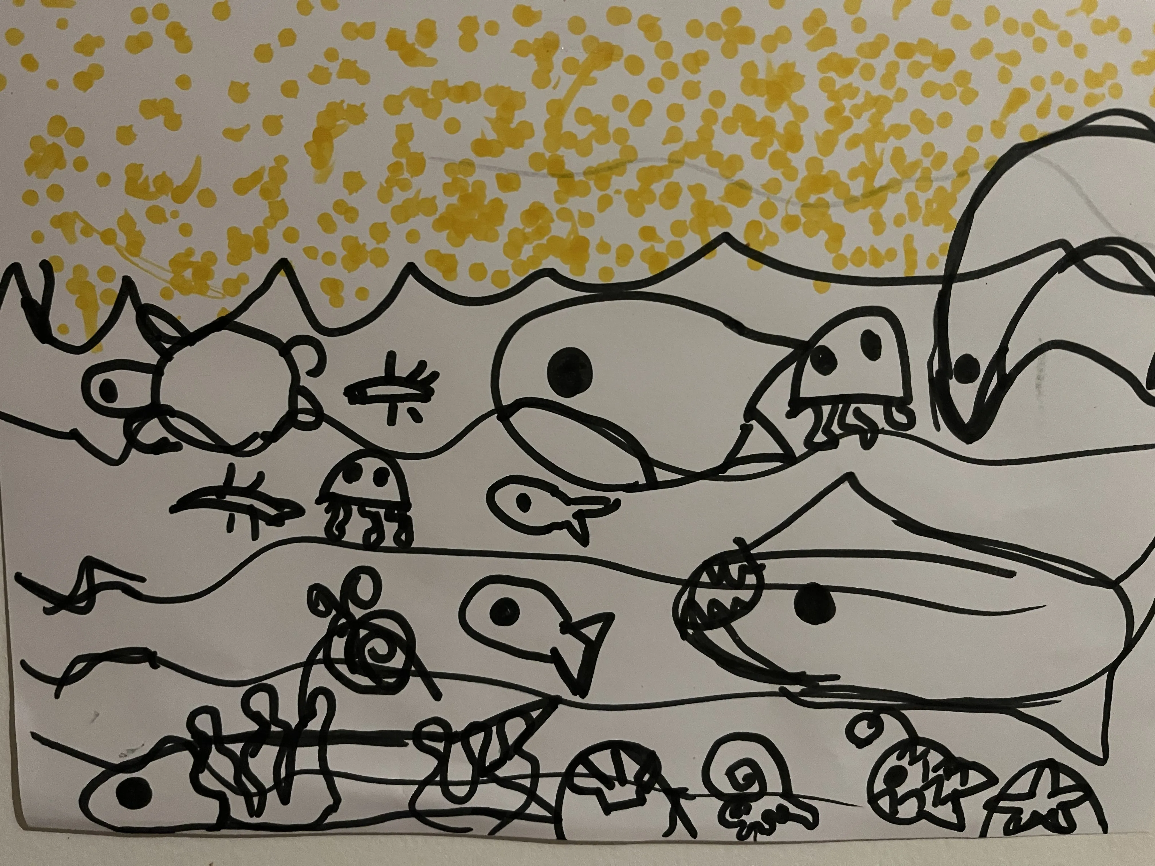 大海和她的朋友们